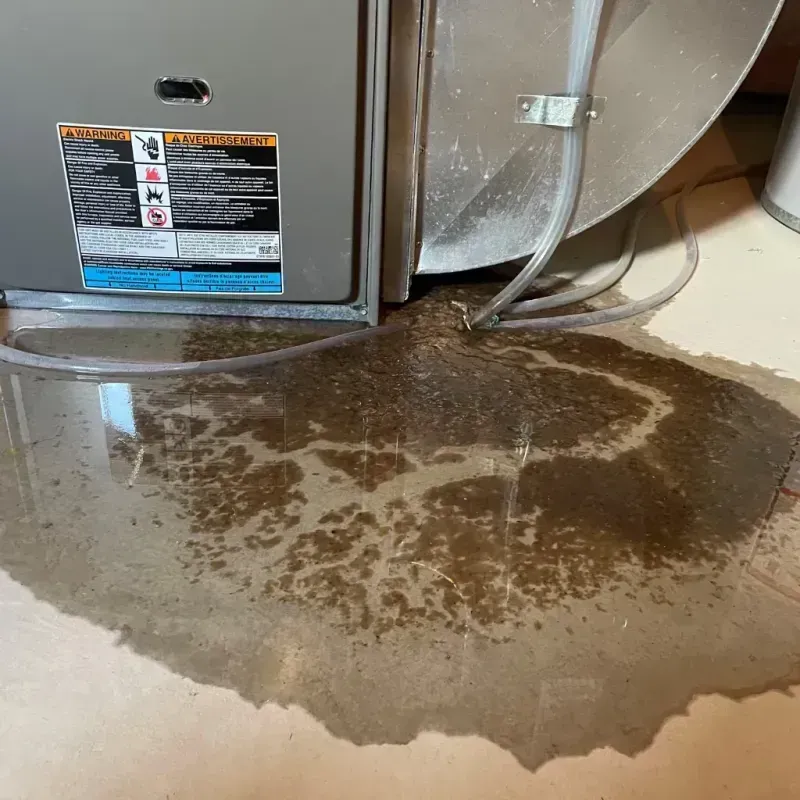 Appliance Leak Cleanup in Swanzey, NH